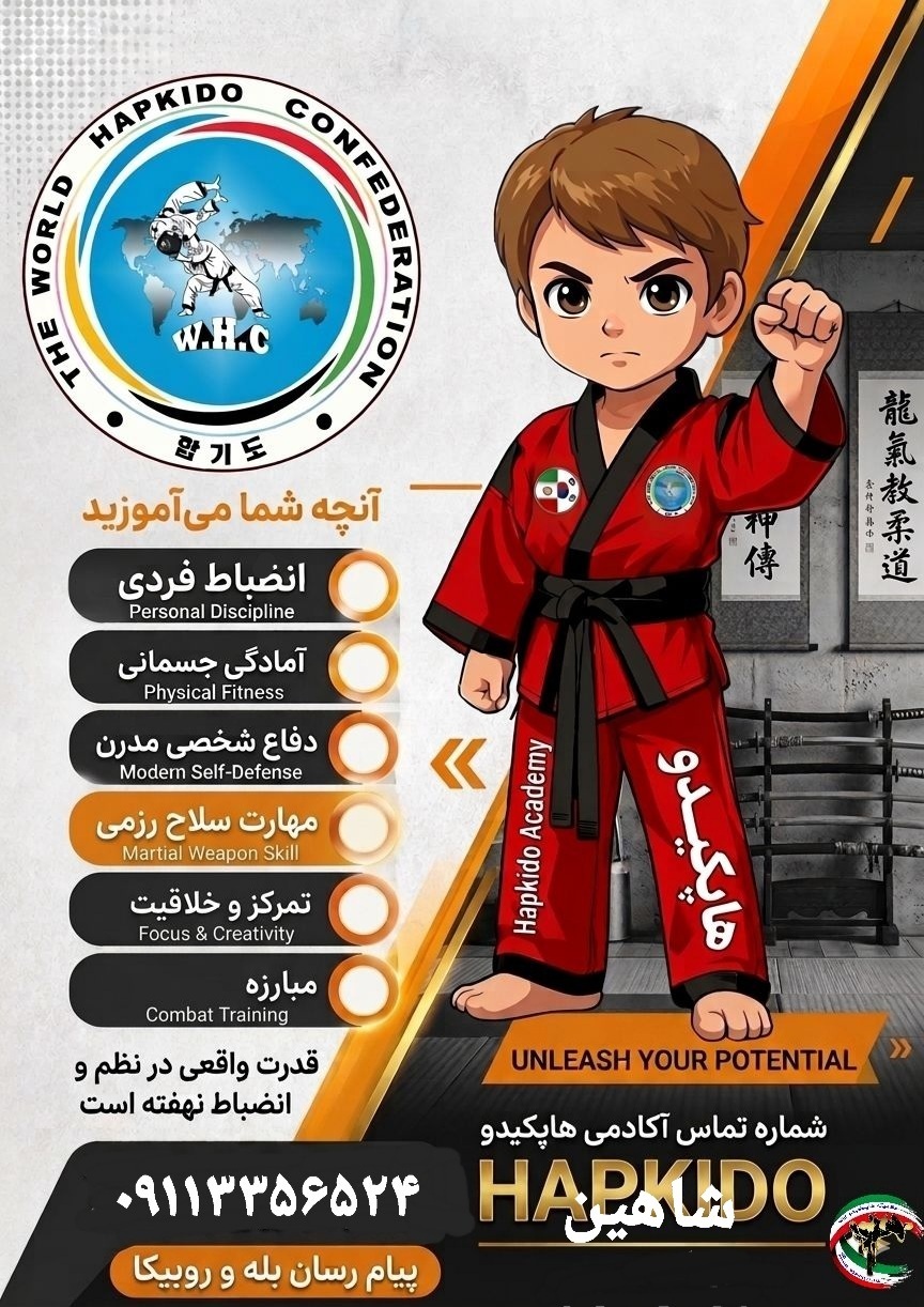 معرفی هاپکیدو